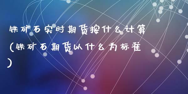 铁矿石实时期货按什么计算(铁矿石期货以什么为标准)