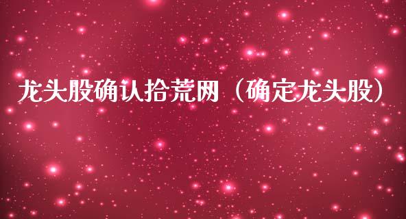 龙头股确认拾荒网（确定龙头股）_https://www.dglong8.com_财经要闻_第1张
