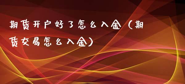 期货开户好了怎么入金（期货交易怎么入金）