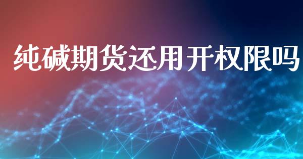 纯碱期货还用开权限吗