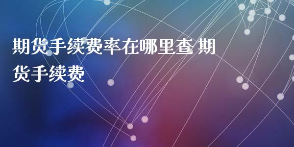 期货手续费率在哪里查 期货手续费