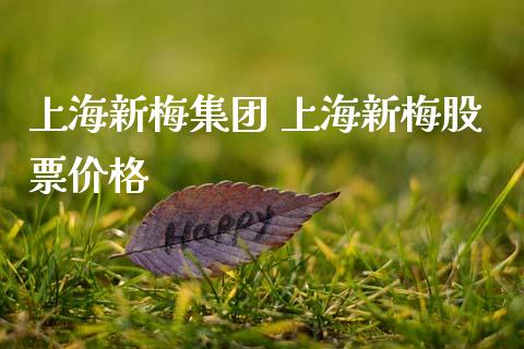 上海新梅集团 上海新梅股票价格