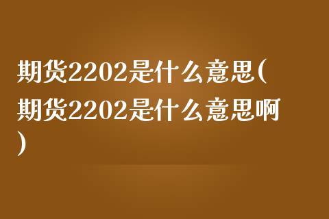 期货2202是什么意思(期货2202是什么意思啊)