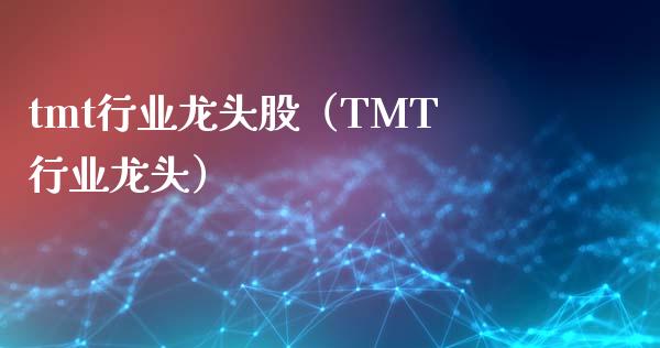 tmt行业龙头股（TMT行业龙头）