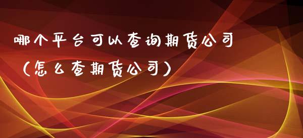 哪个平台可以查询期货公司（怎么查期货公司）