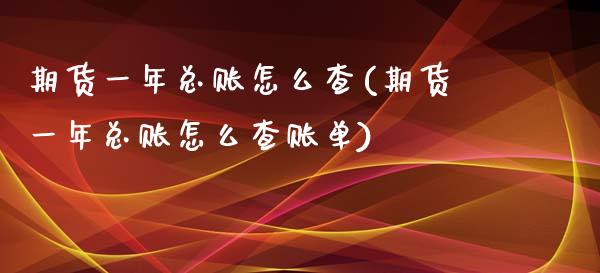 期货一年总账怎么查(期货一年总账怎么查账单)