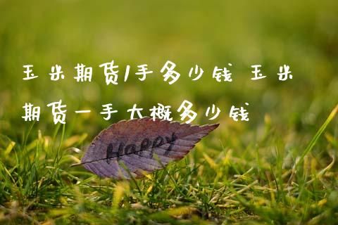 玉米期货1手多少钱 玉米期货一手大概多少钱