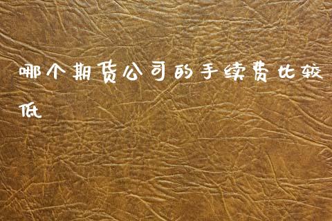哪个期货公司的手续费比较低
