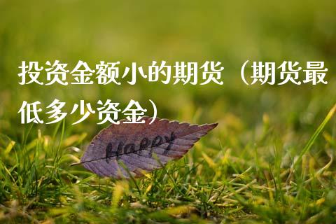 投资金额小的期货（期货最低多少资金）