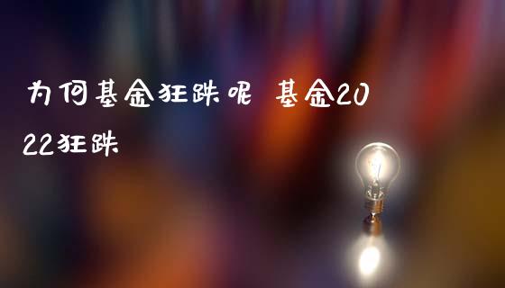 为何基金狂跌呢 基金2022狂跌