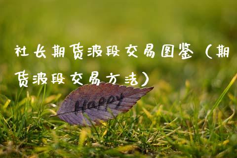 社长期货波段交易图鉴（期货波段交易方法）