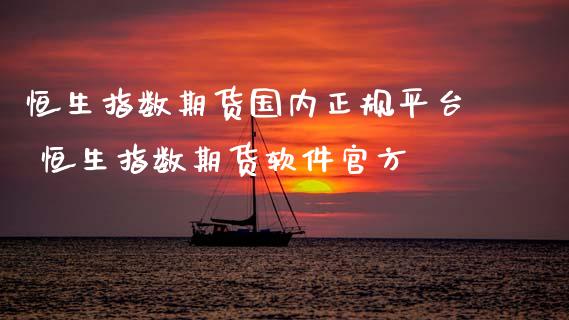 恒生指数期货国内正规平台 恒生指数期货软件官方