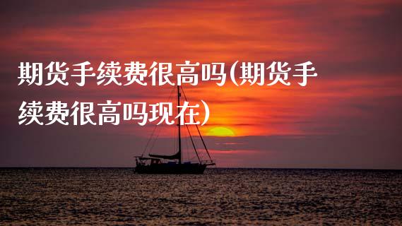 期货手续费很高吗(期货手续费很高吗现在)