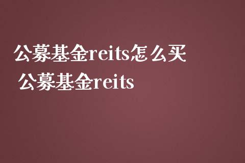 公募基金reits怎么买 公募基金reits