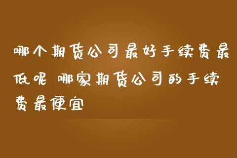 哪个期货公司最好手续费最低呢 哪家期货公司的手续费最便宜