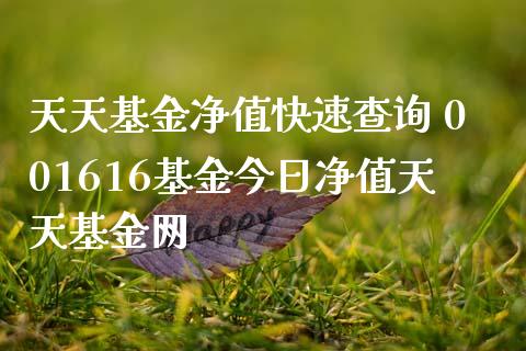天天基金净值快速查询 001616基金今日净值天天基金网