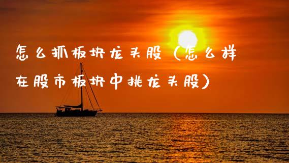 怎么抓板块龙头股（怎么样在股市板块中挑龙头股）