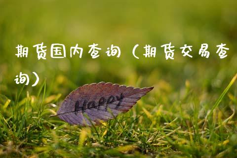 期货国内查询（期货交易查询）