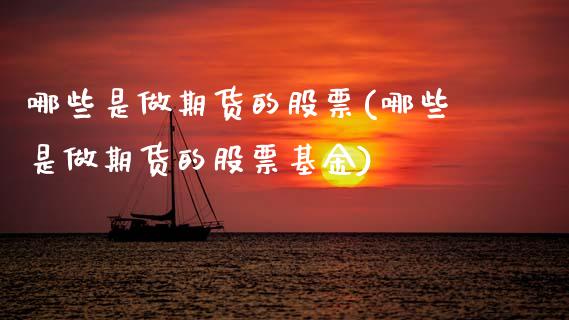 哪些是做期货的股票(哪些是做期货的股票基金)