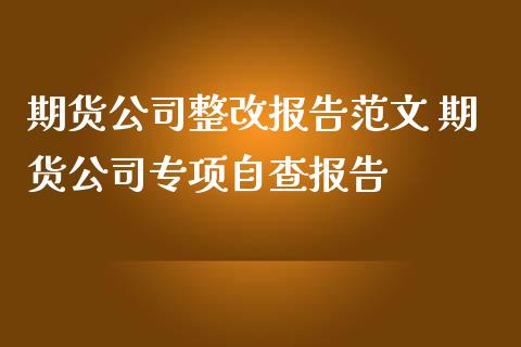 期货公司报告 期货公司专项自查报告