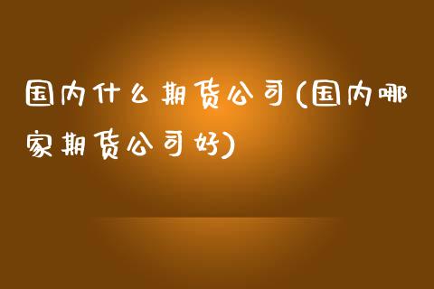 国内什么期货公司(国内哪家期货公司好)