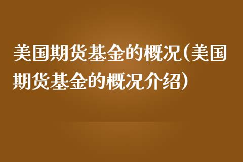 美国期货基金的概况(美国期货基金的概况介绍)