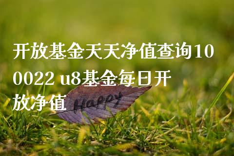 基金天天净值查询100022 u8基金每日净值