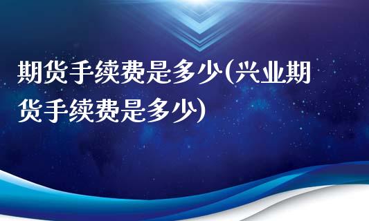 期货手续费是多少(兴业期货手续费是多少)_期货理财_第1张_宇龙理财网 期货手续费是多少(兴业期货手续费是多少)_https://www.dglong8.com_期货理财_第1张