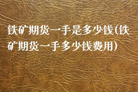 铁矿期货一手是多少钱(铁矿期货一手多少钱费用)