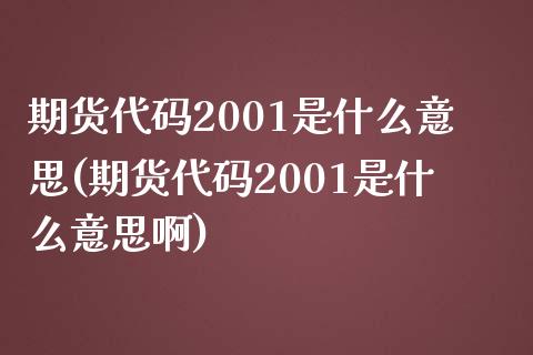 期货代码2001是什么意思(期货代码2001是什么意思啊)