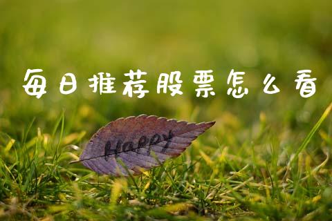 每日推荐股票怎么看
