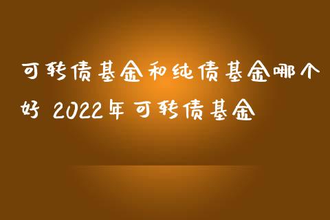可转债基金和纯债基金哪个好 2022年可转债基金