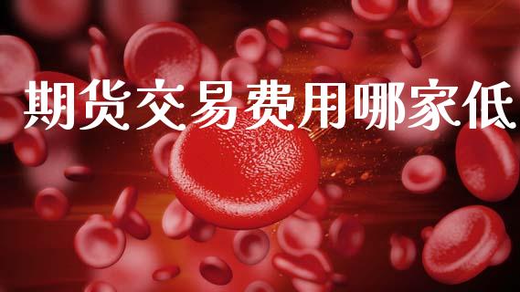 期货交易费用哪家低_财经要闻_第1张_宇龙理财网 期货交易费用哪家低_https://www.dglong8.com_财经要闻_第1张