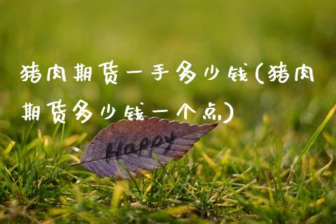 猪肉期货一手多少钱(猪肉期货多少钱一个点)
