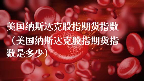 美国纳斯达克股指期货指数（美国纳斯达克股指期货指数是多少）