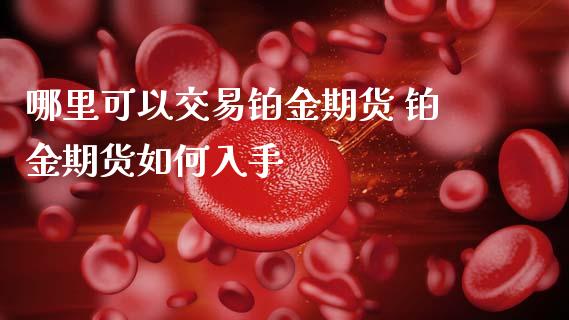 哪里可以交易铂金期货 铂金期货如何入手