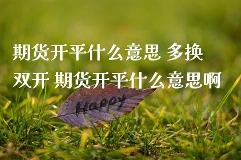 期货开平什么意思 多换  期货开平什么意思啊