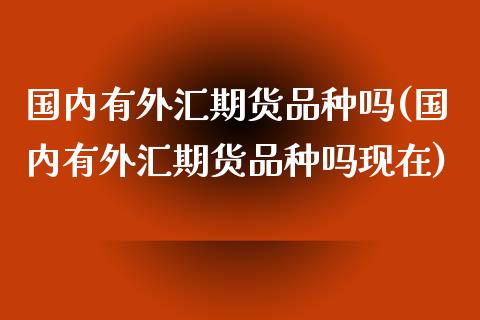 国内有外汇期货品种吗(国内有外汇期货品种吗现在)
