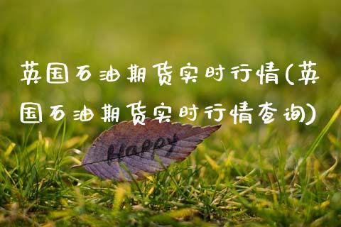 英国石油期货实时行情(英国石油期货实时行情查询)