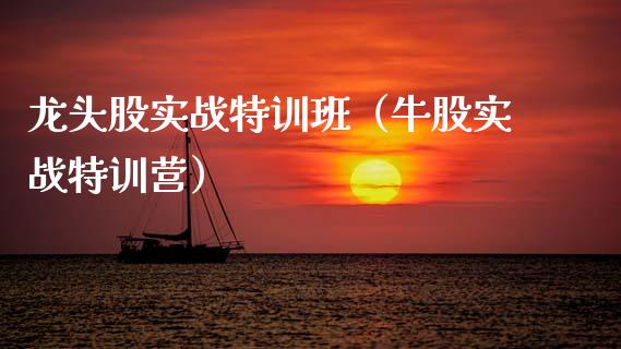 龙头股实战特训班（牛股实战特训营）