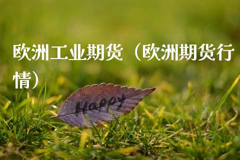 欧洲工业期货（欧洲期货行情）