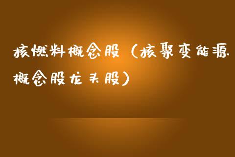 核燃料概念股（核聚变能源概念股龙头股）_https://www.dglong8.com_股票理财_第1张