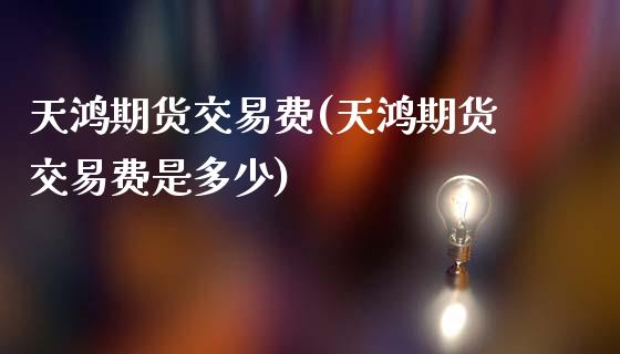天鸿期货交易费(天鸿期货交易费是多少)