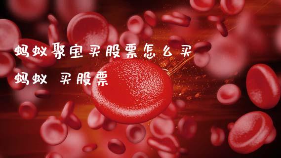 蚂蚁聚宝买股票怎么买  蚂蚁 买股票
