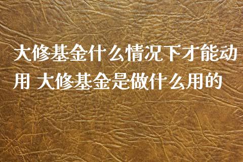 大修基金什么情况下才能动用 大修基金是做什么用的