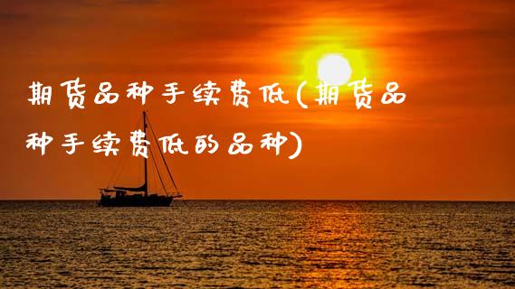 期货品种手续费低(期货品种手续费低的品种)