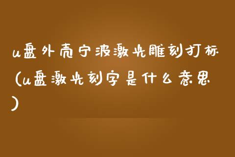 u盘外壳宁波激光雕刻打标(u盘激光刻字是什么意思)