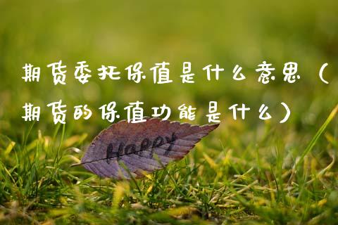 期货委托保值是什么意思（期货的保值功能是什么）
