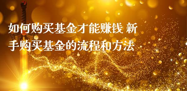 如何购买基金才能赚钱 新手购买基金的流程和方法_https://www.dglong8.com_期货理财_第1张