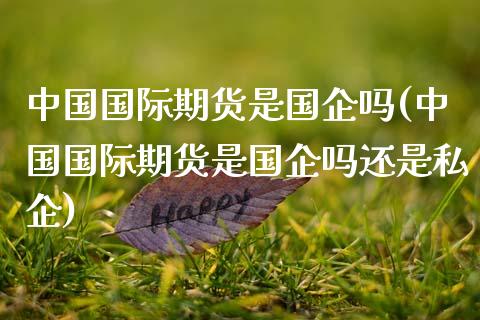 中国国际期货是国企吗(中国国际期货是国企吗还是私企)